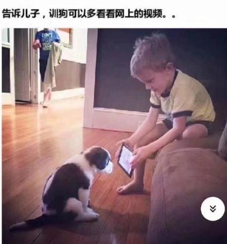 30张搞笑图片,能面无表情看完的都是“高人”