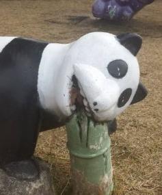 30张搞笑图片,能面无表情看完的都是“高人”