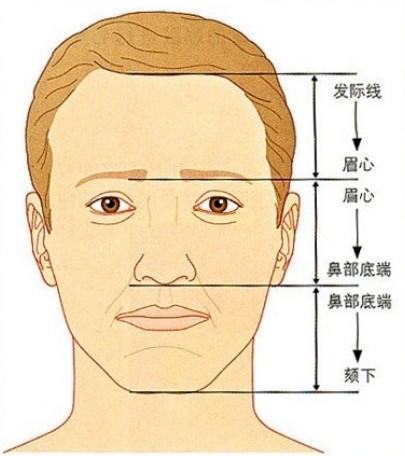 如何判断发际线是否标准?