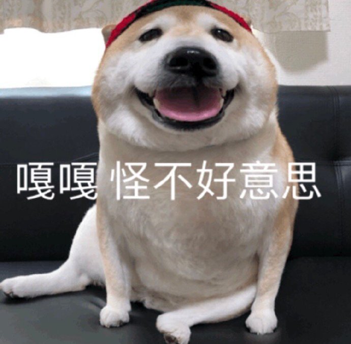 令人难为情不好意思的图片00