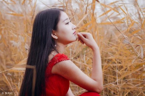 女人四十剧情介绍