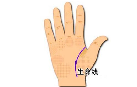 手掌有这三个特征,注定命中子女缘浅薄