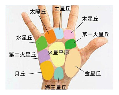 月丘灵性差究竟是怎样形成的？掌纹判读揭示左右脑开发度奥秘