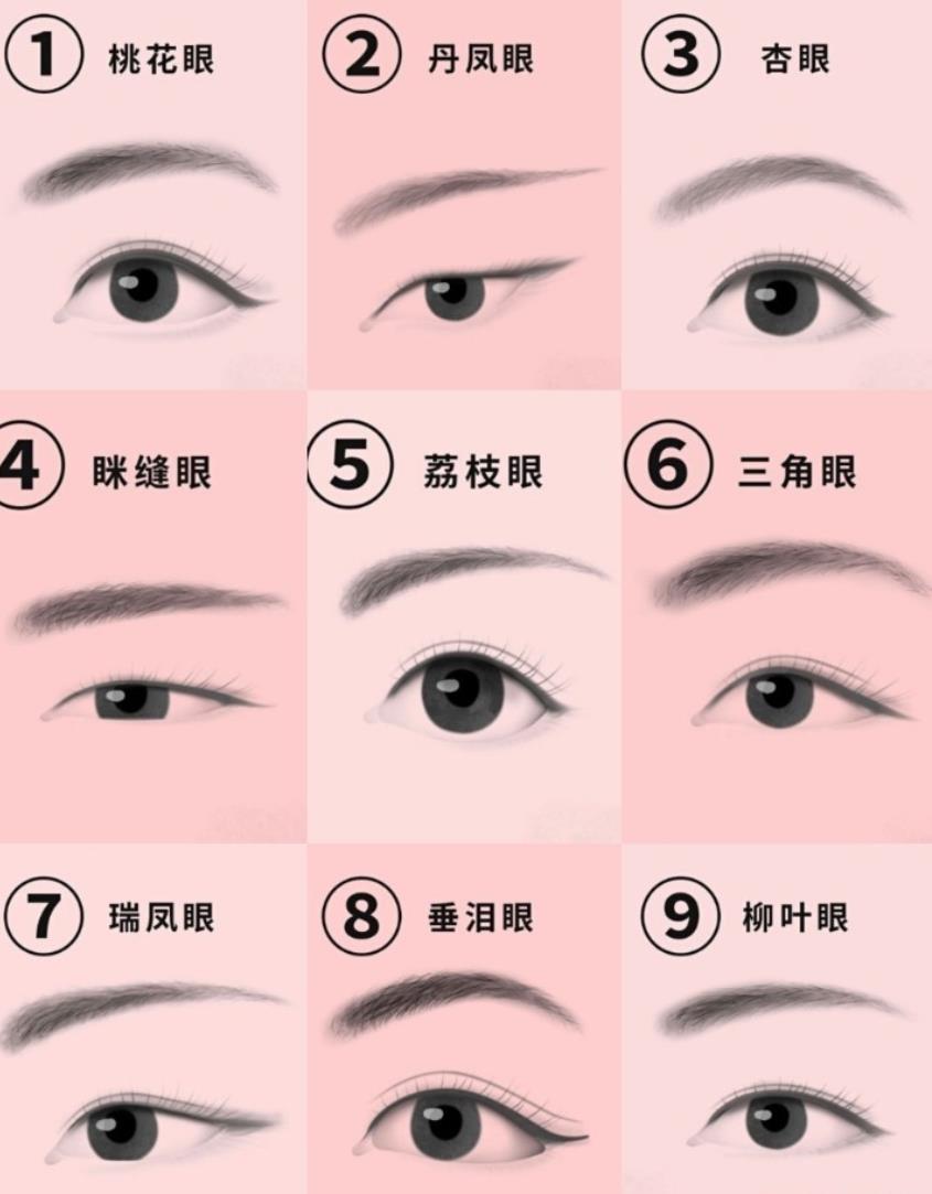 瑞凤眼的外眦角比较钝圆,眼睛整体也是细长形状的,瞳