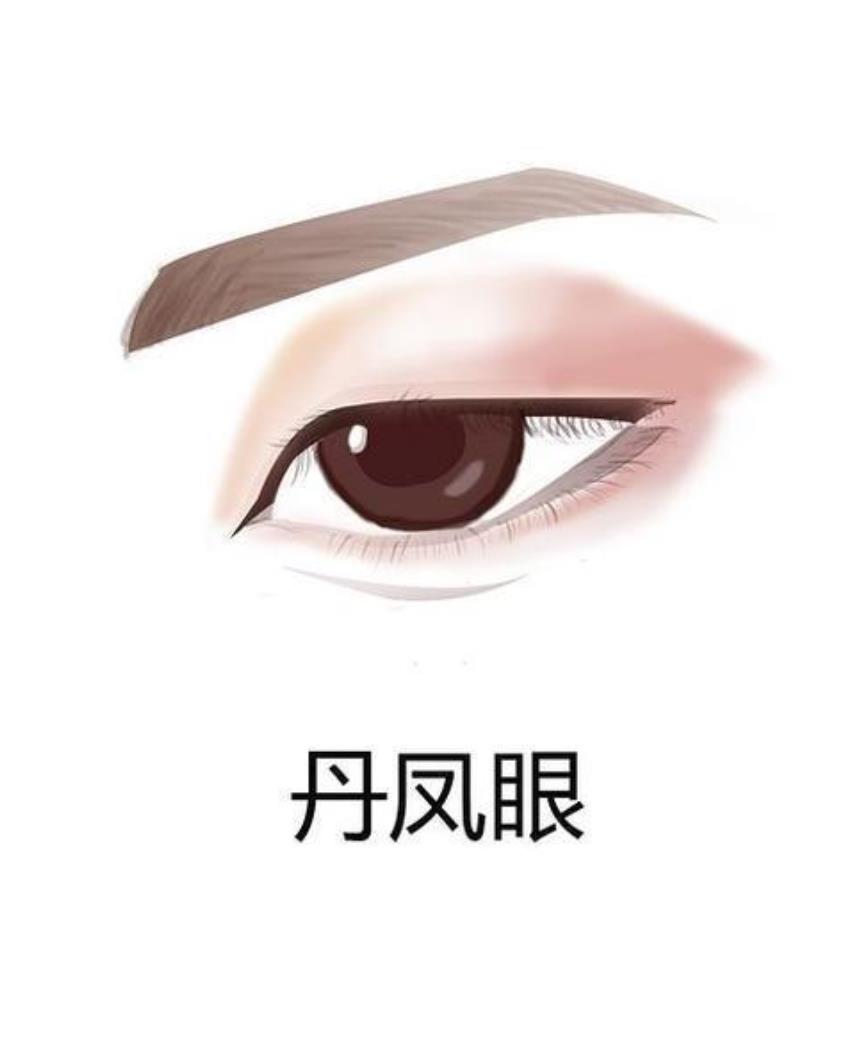 瑞凤眼的外眦角比较钝圆,眼睛整体也是细长形状的,瞳