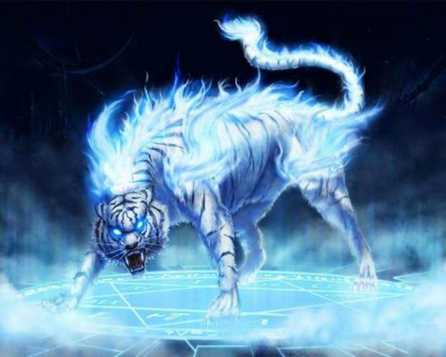 为什么青龙干不过白虎，青龙为什么要比白虎高