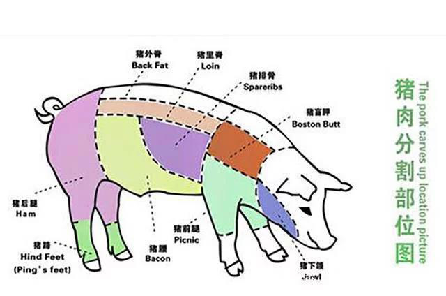 猪身上三块肉不能吃，猪身上元宝肉是什么肉