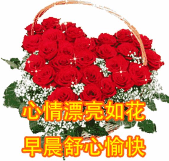 早上好情人暧昧问候玫瑰图片