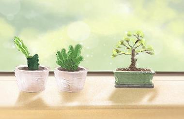 老照片的回忆感悟,人生道理哲理及感悟