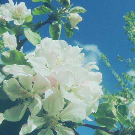 50岁以后记住这7句话，人过50岁必须记住的7句话