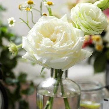 鲜花用什么水养着可以保鲜更长久,鲜花水里放点什么可以保的时间长