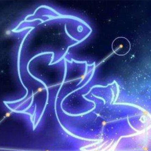 最旺天蝎座的人是谁，天蝎座和什么星座最配