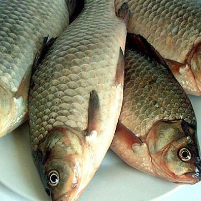 女性常吃什么鱼好,女生吃什么鱼对身体最有好处