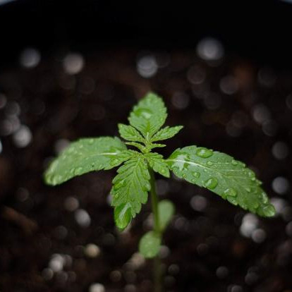 运气不好常念三句话，运气不好时怎么化解