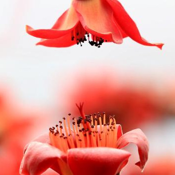 立春后煲些什么汤最好,立春后煲什么汤可以祛湿