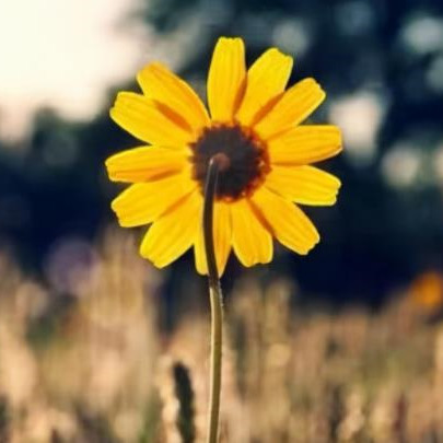 30岁人生迷茫怎么办,30岁的迷茫经典语录