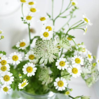 婆婆不好相处要分手么,相亲谈多久适合定亲