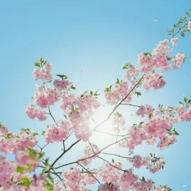 如何让自己活得有乐趣,找点乐趣让自己开心的句子