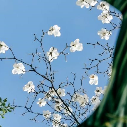 六十岁后要留三条后路，六十岁以后必须给自己留三条后路