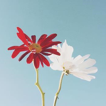 不好相处的女人特点,什么性格的人不好相处