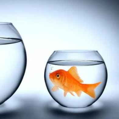 人缘差的原因是怎么造成的,人缘差的原因及解决方法