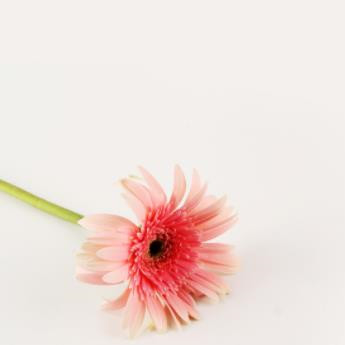 一个人经常诋毁他人是什么心理,不停诋毁别人是什么心态