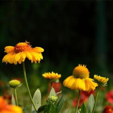 家庭的兴盛取决于五个根本,男人拎不清是一个家庭最大的悲哀吗