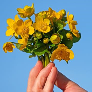 男人感情观最正的话,男人20岁到30岁的感情观