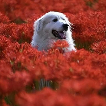 怎么做一个会说话的人,如何提高情商和说话技巧