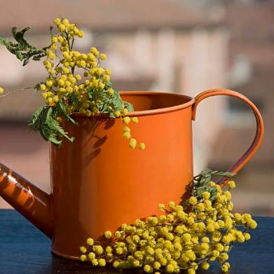 怎么养成温柔的性格,男生性格怎么变温柔