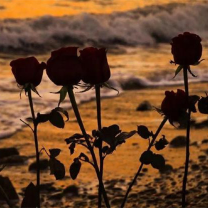 12星座最容易婚后出轨的星座，12星座里哪个星座出轨率最高