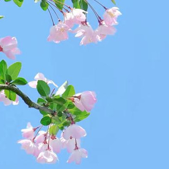 婚姻线有三条代表什么，怎么看夫妻是不是正缘