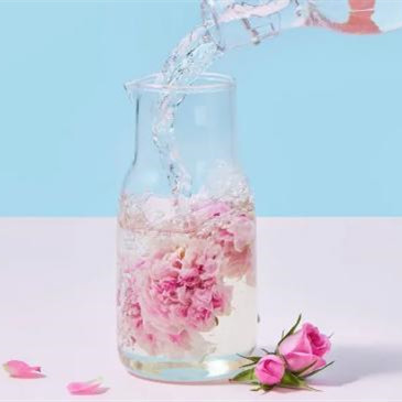 玫瑰花茶哪个品种最好，哪个品种的玫瑰花好喝
