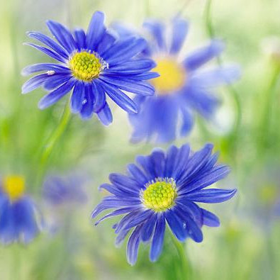 交朋友应把握哪些原则,交朋友最忌讳三种行为