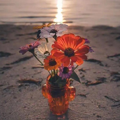 突然清醒释怀了的句子，突然释怀的高级感句子