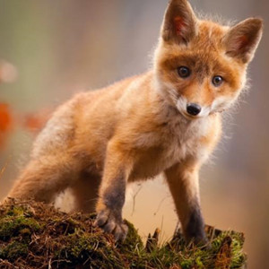 人为什么留后路,人为什么给自己留后路