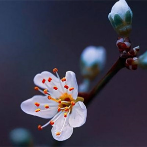 男人多大开始明显衰老，男人衰老最快的年龄段