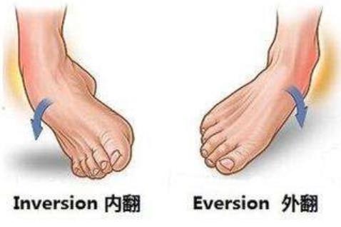 内翻和外翻的区别图，脚内翻和外翻的区别图片