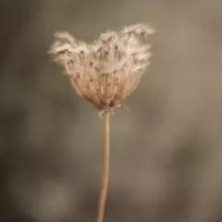 为什么说不要把得失看得太重
