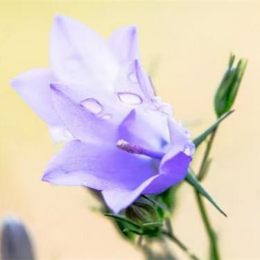 女人晚年最佳养老方式，女人如何养老才是安享晚年