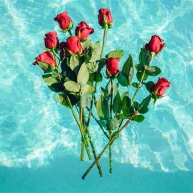 夫妻陪伴到老的感慨，夫妻相互陪伴到老的句子