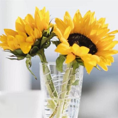 如何解决五十岁的迷茫和无奈，50岁迷茫的人生将如何面对