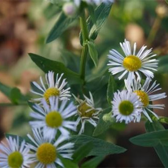 晨起三个习惯最长寿，晨起坚持三个习惯长寿唾手可得