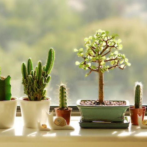 什么叫人生四大舒服，人生四大最舒服的生活是什么样的