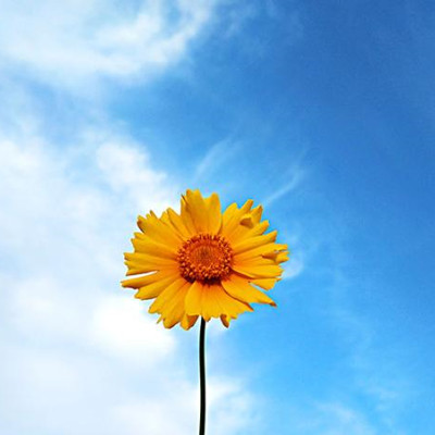 中年女人三大愿望是什么,中年男性最想要的三个愿望