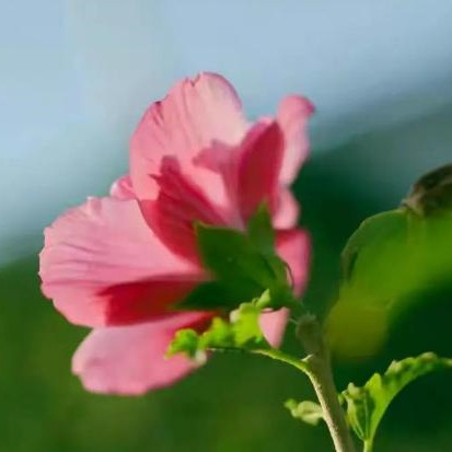 人到60要注意三件事，人过60尽量不要做这几件事