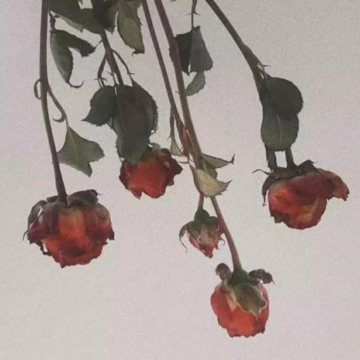 三句话马上让你不焦虑，克服焦虑心理的三句话