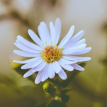 离婚不离家复婚的几率有多大,离婚几年复婚可能性大不大