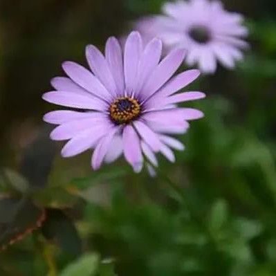老人二婚最佳年龄,老年人二婚年龄差多少合适