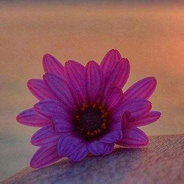 人到60要注意三件事，人到六十必须牢记的这几句话